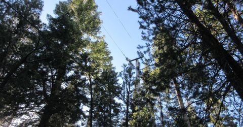 175 Silver Tip Drive, Bear Valley, CA 95223 Photo