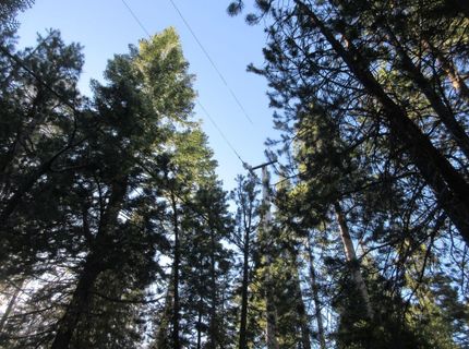 175 Silver Tip Drive, Bear Valley, CA 95223 Photo