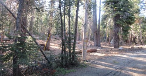 175 Silver Tip Drive, Bear Valley, CA 95223 Photo