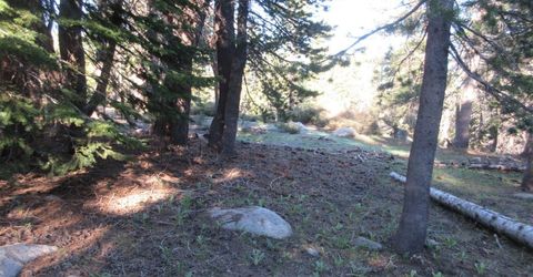 175 Silver Tip Drive, Bear Valley, CA 95223 Photo