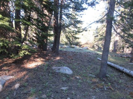 175 Silver Tip Drive, Bear Valley, CA 95223 Photo