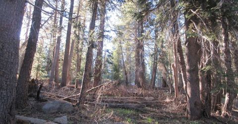 175 Silver Tip Drive, Bear Valley, CA 95223 Photo