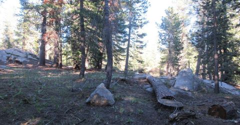 175 Silver Tip Drive, Bear Valley, CA 95223 Photo