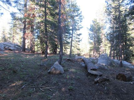 175 Silver Tip Drive, Bear Valley, CA 95223 Photo