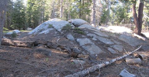 175 Silver Tip Drive, Bear Valley, CA 95223 Photo