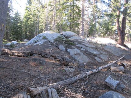 175 Silver Tip Drive, Bear Valley, CA 95223 Photo