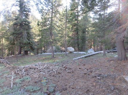 175 Silver Tip Drive, Bear Valley, CA 95223 Photo