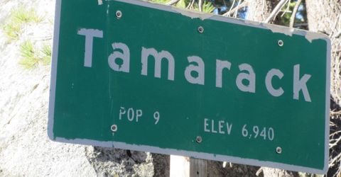 175 Silver Tip Drive, Bear Valley, CA 95223 Photo