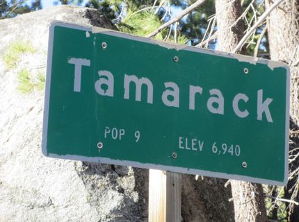 175 Silver Tip Drive, Bear Valley, CA 95223 Photo