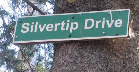 175 Silver Tip Drive, Bear Valley, CA 95223 Photo