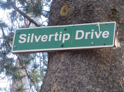 175 Silver Tip Drive, Bear Valley, CA 95223 Photo