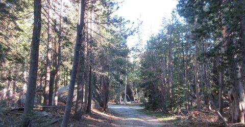 175 Silver Tip Drive, Bear Valley, CA 95223 Photo