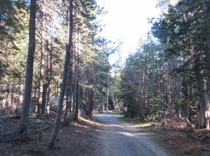 175 Silver Tip Drive, Bear Valley, CA 95223 Photo