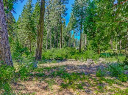 10 Timber Trail Ct, Camp Connell, CA 95223 Photo