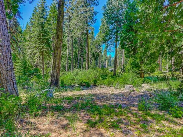 10 Timber Trail Ct, Camp Connell, CA 95223