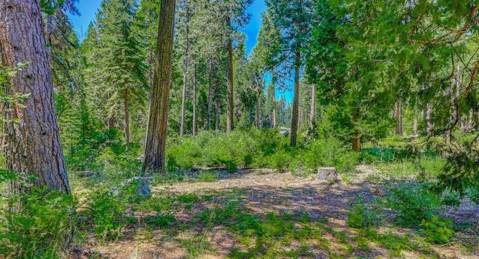 10 Timber Trail Ct, Camp Connell, CA 95223 Photo