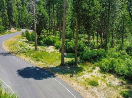 10 Timber Trail Ct, Camp Connell, CA 95223 Photo