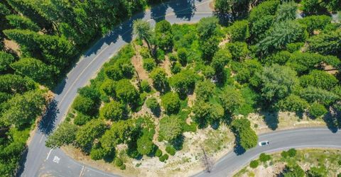 10 Timber Trail Ct, Camp Connell, CA 95223 Photo
