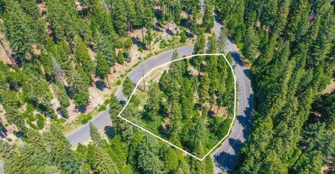 10 Timber Trail Ct, Camp Connell, CA 95223 Photo