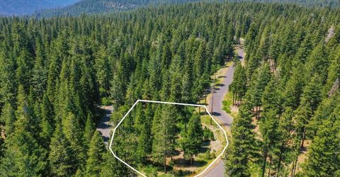 10 Timber Trail Ct, Camp Connell, CA 95223 Photo