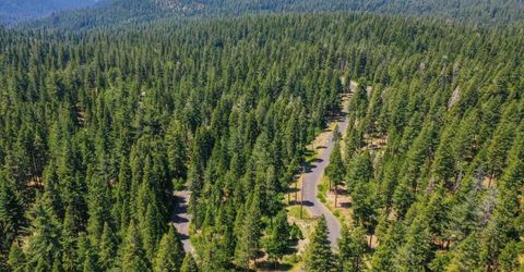 10 Timber Trail Ct, Camp Connell, CA 95223 Photo