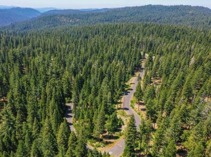 10 Timber Trail Ct, Camp Connell, CA 95223 Photo