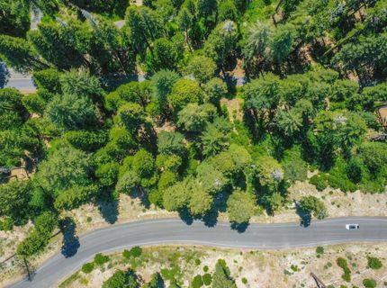 10 Timber Trail Ct, Camp Connell, CA 95223 Photo
