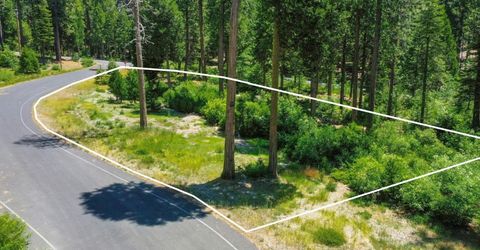 10 Timber Trail Ct, Camp Connell, CA 95223 Photo