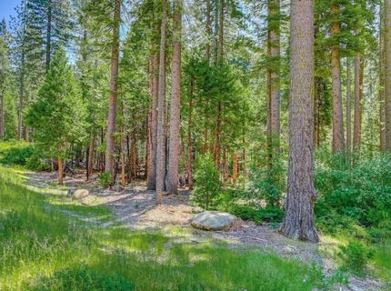 10 Timber Trail Ct, Camp Connell, CA 95223 Photo