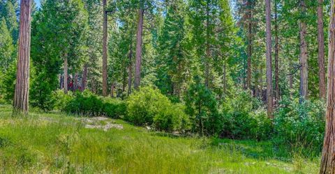 10 Timber Trail Ct, Camp Connell, CA 95223 Photo