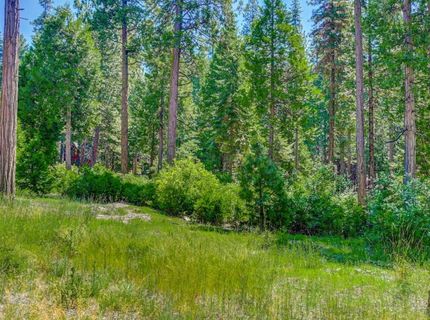 10 Timber Trail Ct, Camp Connell, CA 95223 Photo