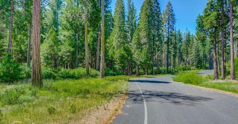 10 Timber Trail Ct, Camp Connell, CA 95223 Photo