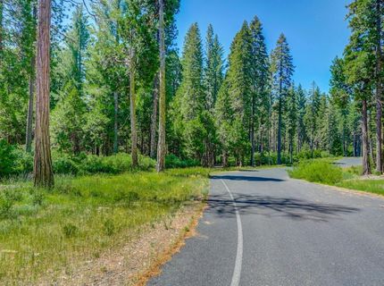 10 Timber Trail Ct, Camp Connell, CA 95223 Photo