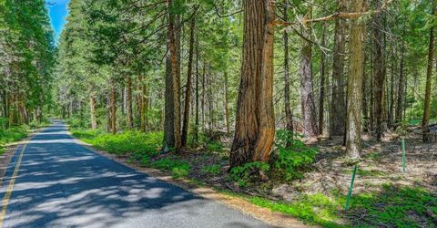 10 Timber Trail Ct, Camp Connell, CA 95223 Photo