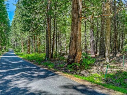 10 Timber Trail Ct, Camp Connell, CA 95223 Photo