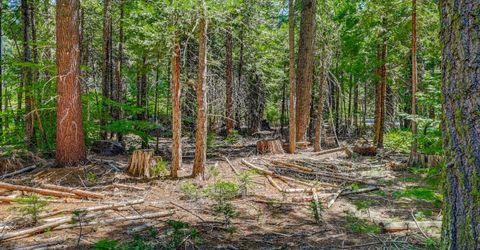 10 Timber Trail Ct, Camp Connell, CA 95223 Photo