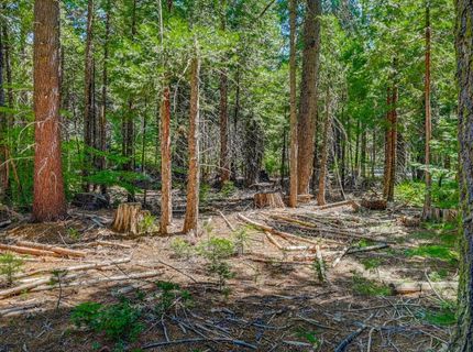 10 Timber Trail Ct, Camp Connell, CA 95223 Photo