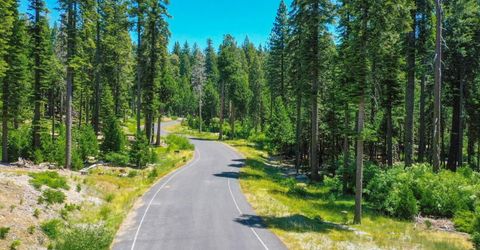 10 Timber Trail Ct, Camp Connell, CA 95223 Photo