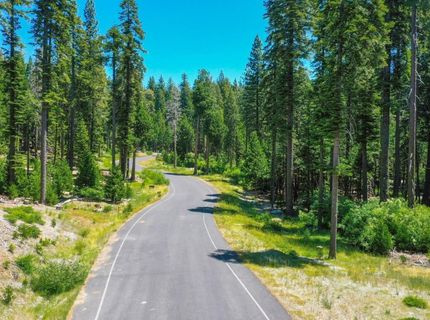 10 Timber Trail Ct, Camp Connell, CA 95223 Photo