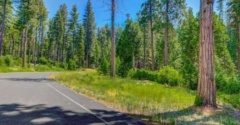10 Timber Trail Ct, Camp Connell, CA 95223 Photo