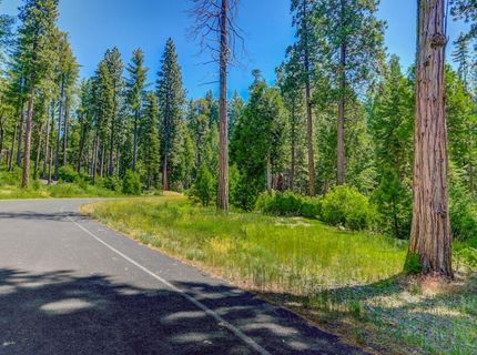 10 Timber Trail Ct, Camp Connell, CA 95223 Photo
