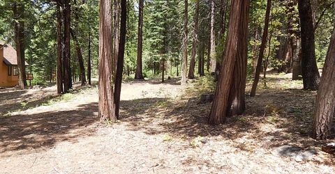 232 Iroquois Drive, Camp Connell, CA 95223 Photo