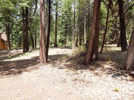 232 Iroquois Drive, Camp Connell, CA 95223 Photo