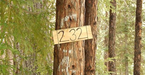 232 Iroquois Drive, Camp Connell, CA 95223 Photo
