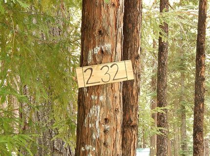 232 Iroquois Drive, Camp Connell, CA 95223 Photo