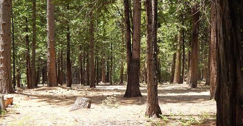 232 Iroquois Drive, Camp Connell, CA 95223 Photo