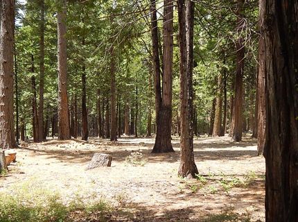 232 Iroquois Drive, Camp Connell, CA 95223 Photo