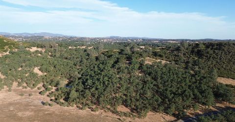 12244 S Camanche Parkway South, Burson, CA 95225 Photo