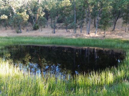 12244 S Camanche Parkway South, Burson, CA 95225 Photo