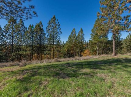 271 Sierra Madre Rd, Rail Road Flat, CA 95248 Photo